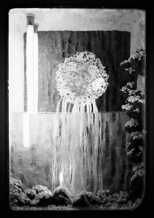 Item #2047116815 Media