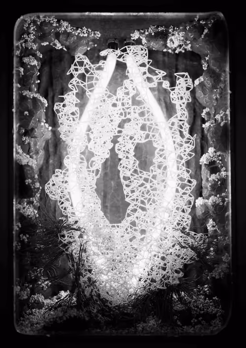 Item #2999231288 Media