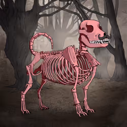 Wicked Hound #903
