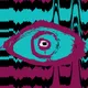 THE EYE