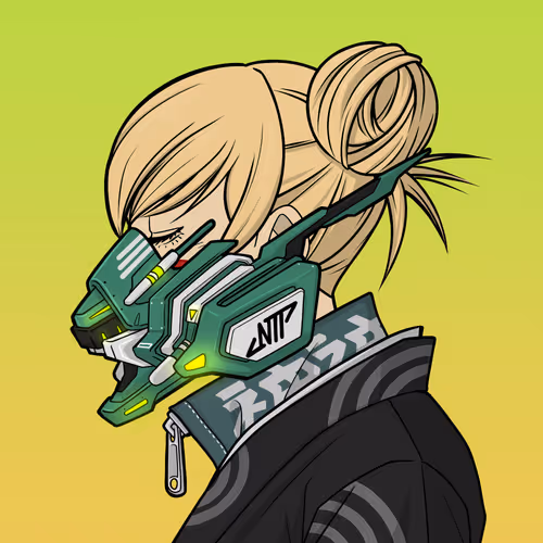 Neo Tokyo Punk #1065