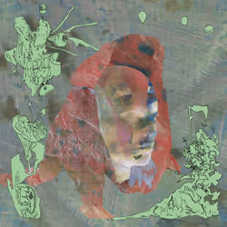 29