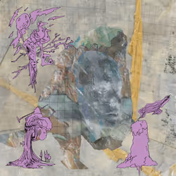 66