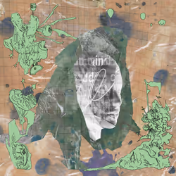 51