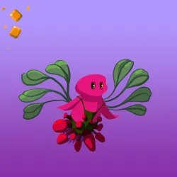 Blossom
