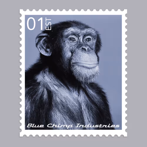 Item #24200010111 Media