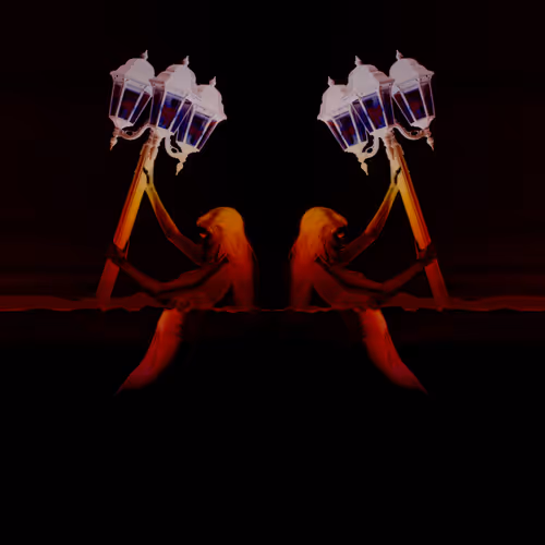 Fashion Photography Abstracts