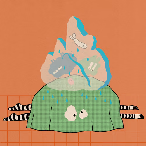 Blanket #2588