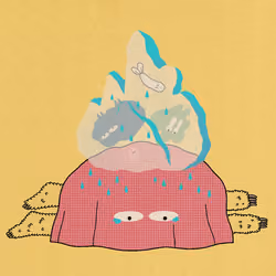 Blanket #2279