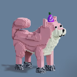 2646