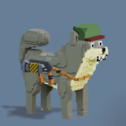 4020