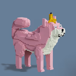 682