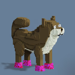 1004