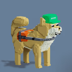 2584
