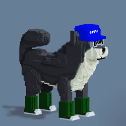 4644