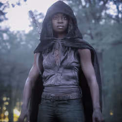 Michonne #1135