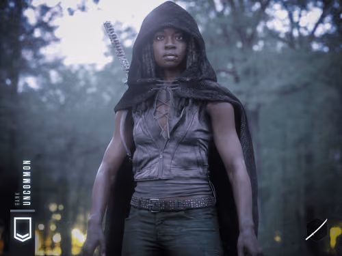 Michonne #1135