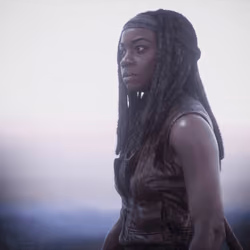 Michonne #819