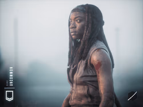 Michonne #1559