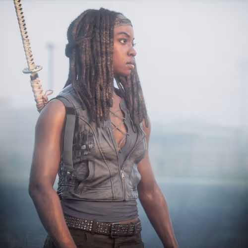 Michonne #1688