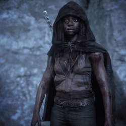 Michonne #894