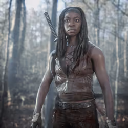 Michonne #1471