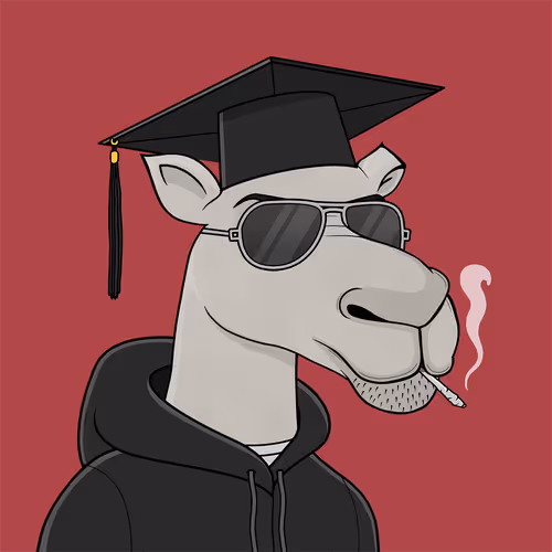 Camel #1167