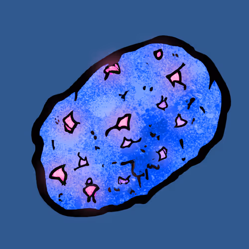 Pet Rock Erc