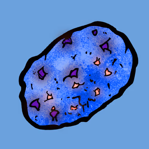 Pet Rock Erc