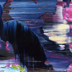 Freud's Shadow According To Jung D2
