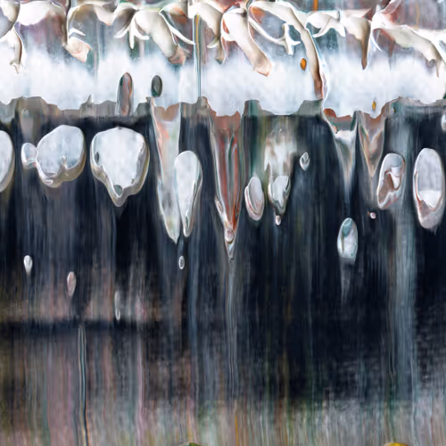 Scalesbyannajudd
