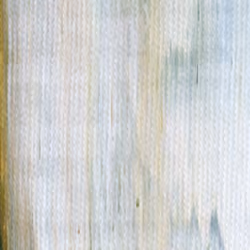 Manifesting Fog C1