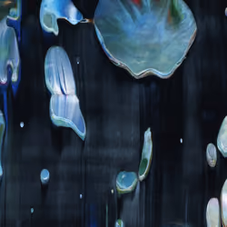 Liminal Lumina B6
