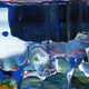 5702