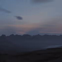 82