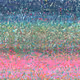 80