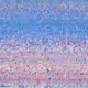 95
