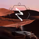 31