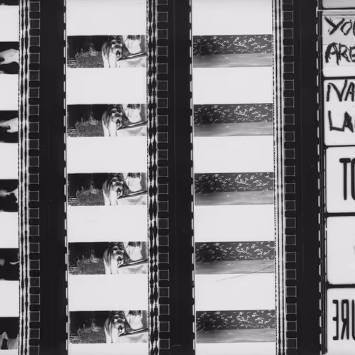 You Are On Native Land