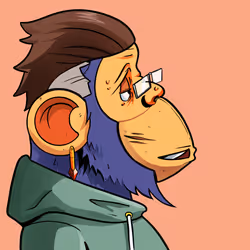 204
