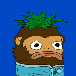 1566