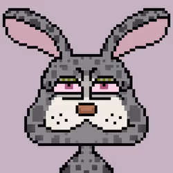 Rabbit #117