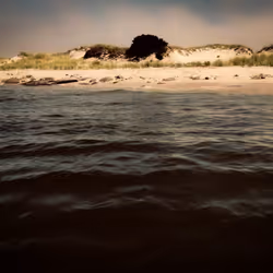 Sea of Dreams #8/30