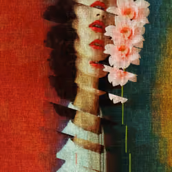 Superposition