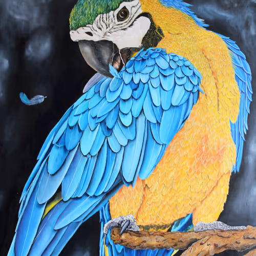 Painting, Digital art and Photography