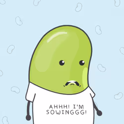 538