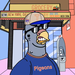 Pigeon #272