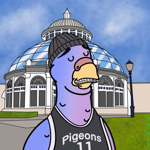 Pigeons Of New York Phase 2