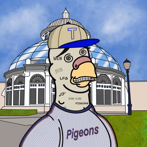 Pigeon #498