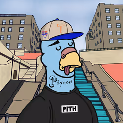 Pigeon #333